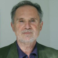 Headshot of Massimo Ciavolella in an olive suit.